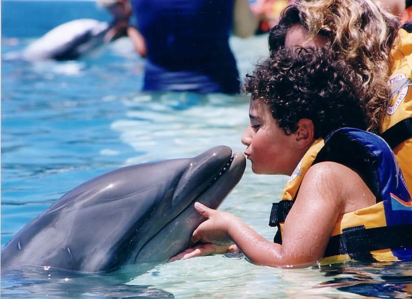 Sea Life Park Hawaii（シーライフ・パーク・ハワイ）