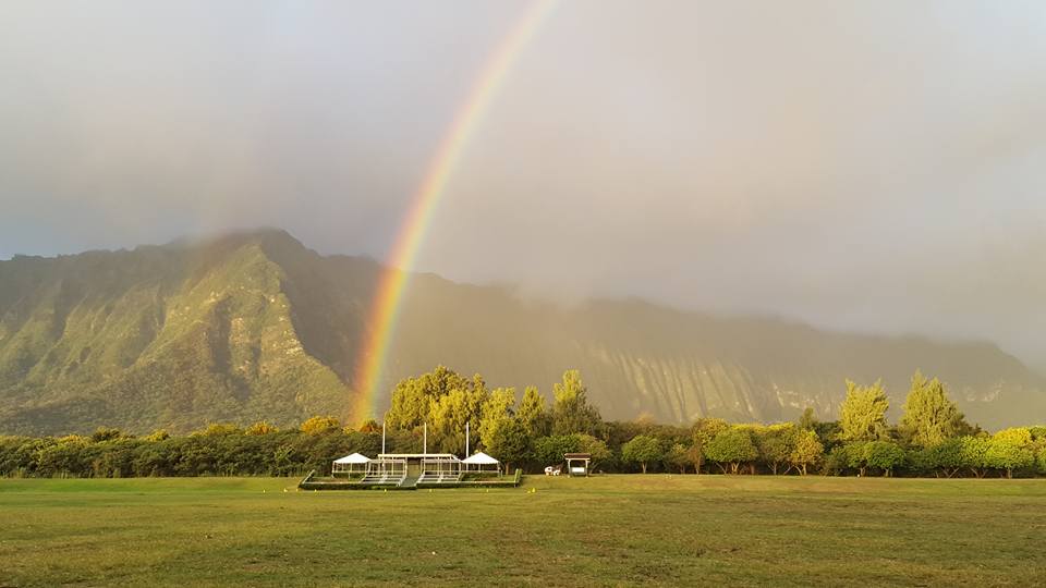 Therapeutic Horsemanship of Hawaii（ホースペインティング）