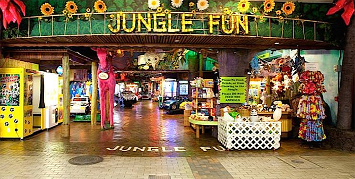 Jungle Fun（ジャングル・ファン）