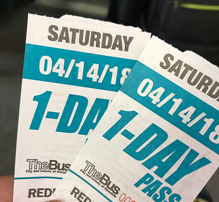1DAY PASS
