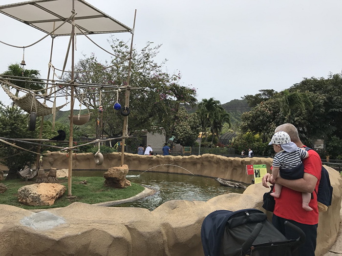 Honolulu Zoo（ホノルル動物園）
