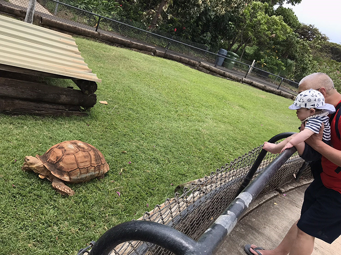 Honolulu Zoo（ホノルル動物園）