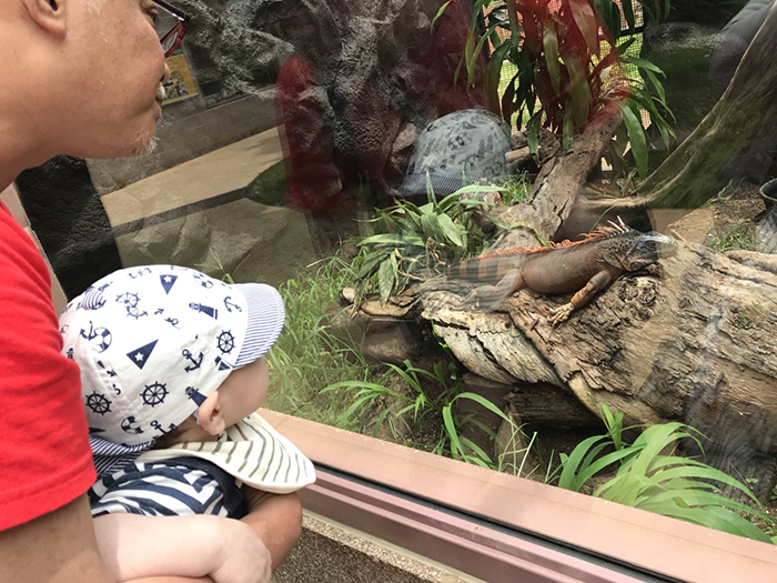 Honolulu Zoo（ホノルル動物園）