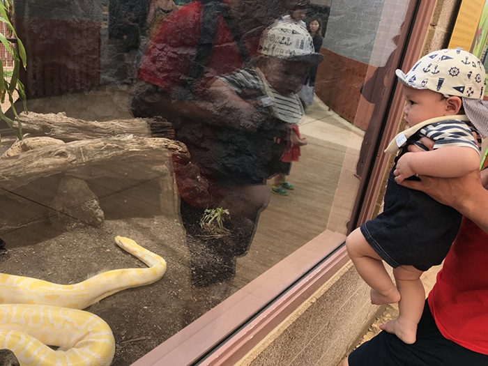 Honolulu Zoo（ホノルル動物園）