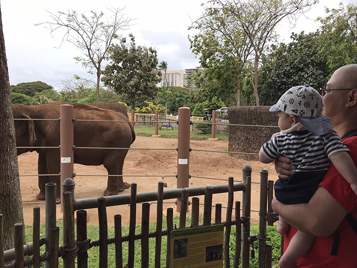 Honolulu Zoo（ホノルル動物園）