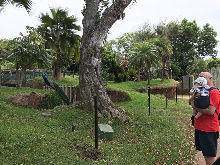 Honolulu Zoo（ホノルル動物園）