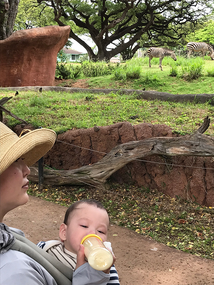 Honolulu Zoo（ホノルル動物園）