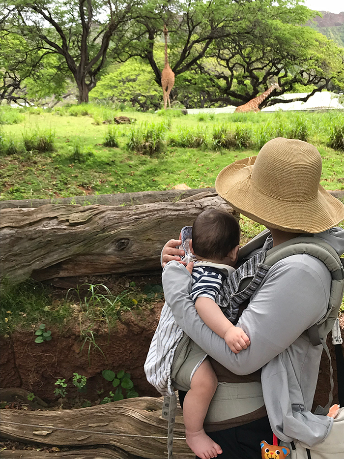 Honolulu Zoo（ホノルル動物園）
