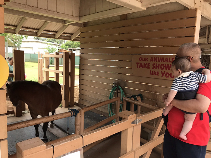 Honolulu Zoo（ホノルル動物園）