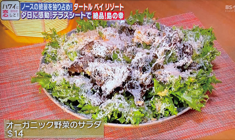 オーガニック野菜のサラダ