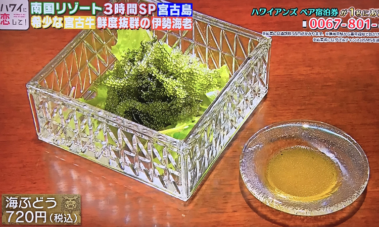海ぶどう